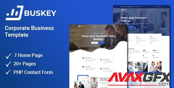 ThemeForest - Buskey v1.1 - Business Consulting and Corporate Template - 22406416