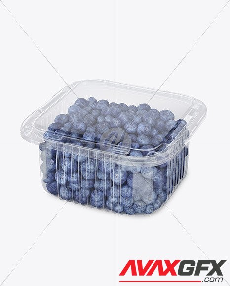 Container w/ Blueberry Mockup 49728