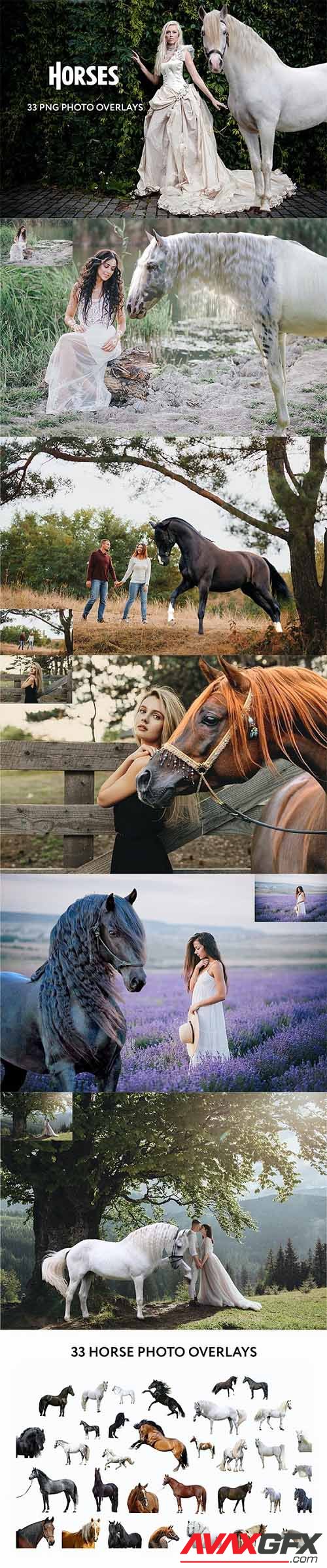 33 Horse Photo Overlays - 34817161 - 6666430