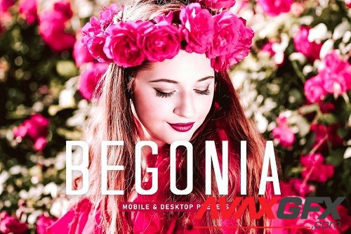 Begonia Pro Lightroom Presets - 6896085