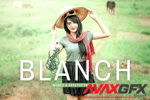 Blanch Pro Lightroom Presets - 6896111