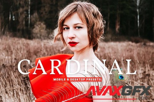 Cardinal Pro Lightroom Presets - 6896230