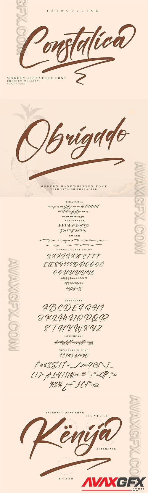 Constalica Modern Signature Font LS 73PB23U