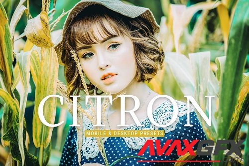 Citron Pro Lightroom Presets - 6896663