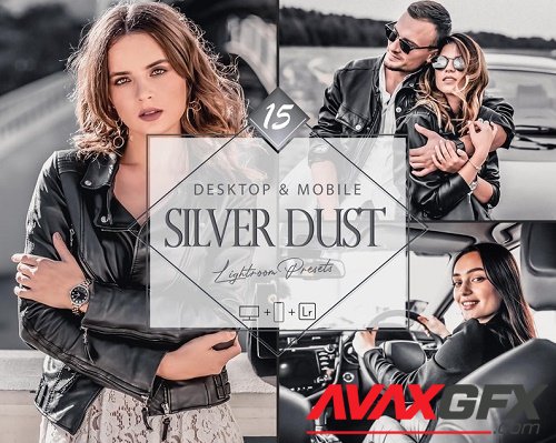 15 Silver Dust Lightroom Presets, Gray Preset, Dove Desktop LR Filter