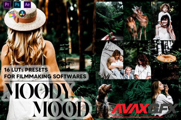 16 Moody Mood Video LUTs Presets