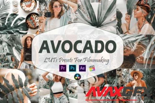 10 Avocado Video LUTs Presets