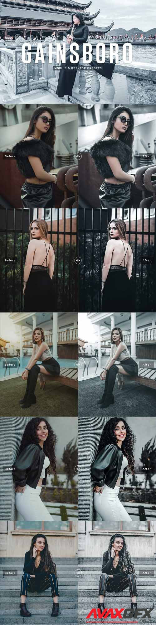 Gainsboro Pro Lightroom Presets - 6923959