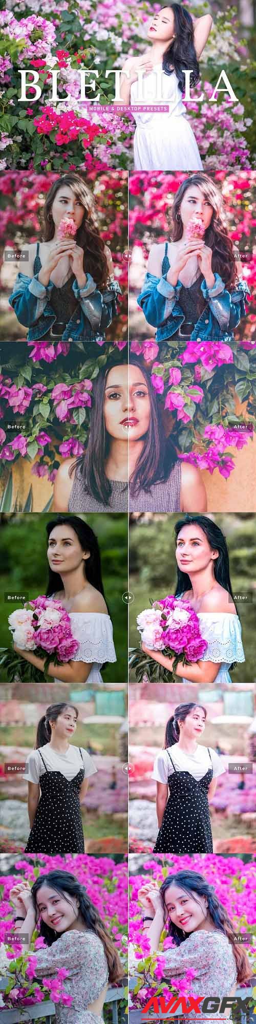 Bletilla Pro Lightroom Presets - 6925581