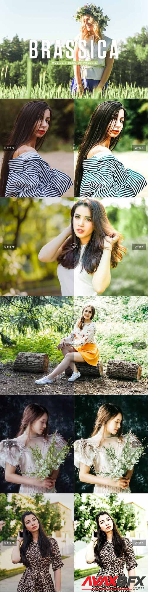 Brassica Pro Lightroom Presets - 6925626