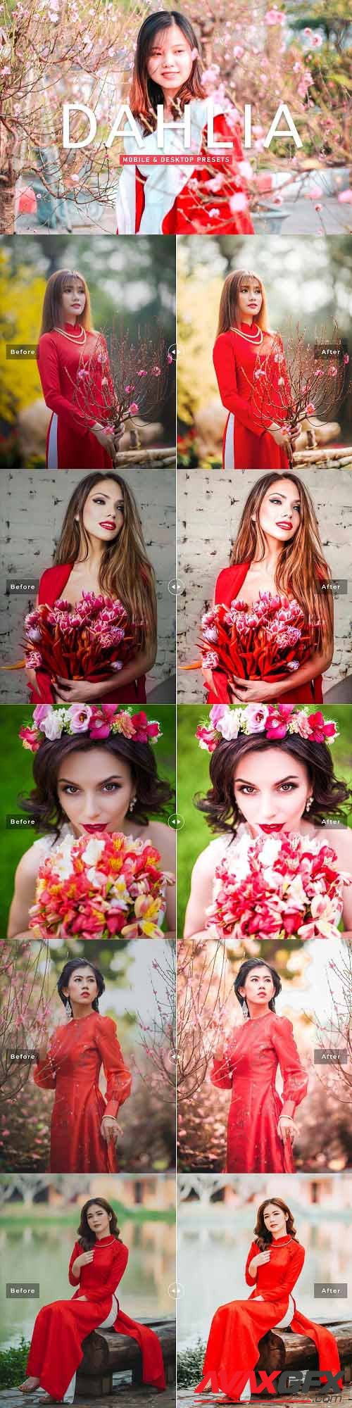 Dahlia Pro Lightroom Presets - 6929653