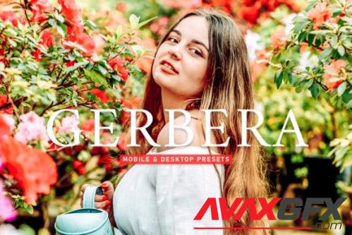 Gerbera Pro Lightroom Presets - 6929698