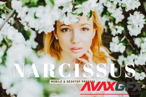 Narcissus Mobile & Desktop Lightroom Presets - 1800003