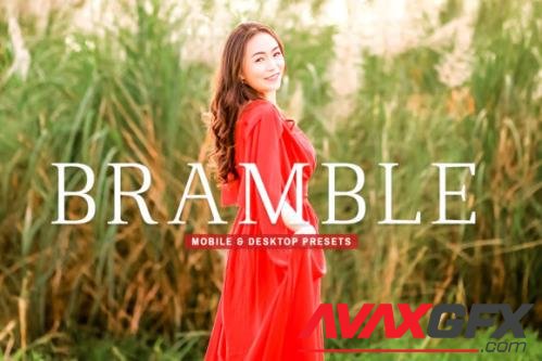 Bramble Mobile & Desktop Lightroom Presets - 1803503