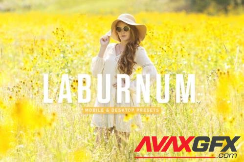 Laburnum Mobile & Desktop Lightroom Presets - 1803516