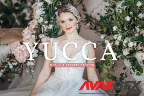 Yucca Mobile & Desktop Lightroom Presets - 1803531