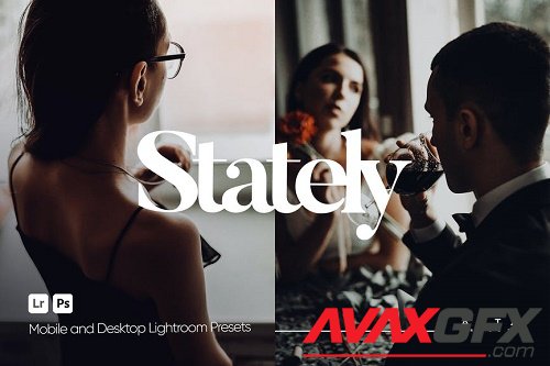 ARTA - Stately Presets for Lightroom