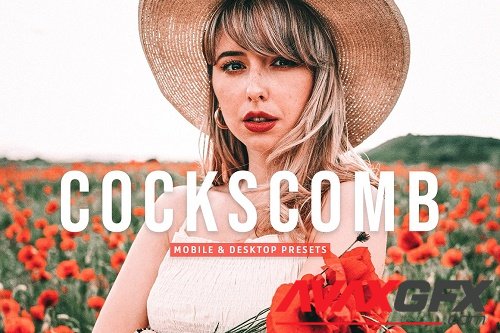 Cockscomb Pro Lightroom Presets - 6975438