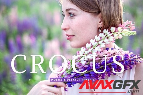 Crocus Pro Lightroom Presets - 6975440