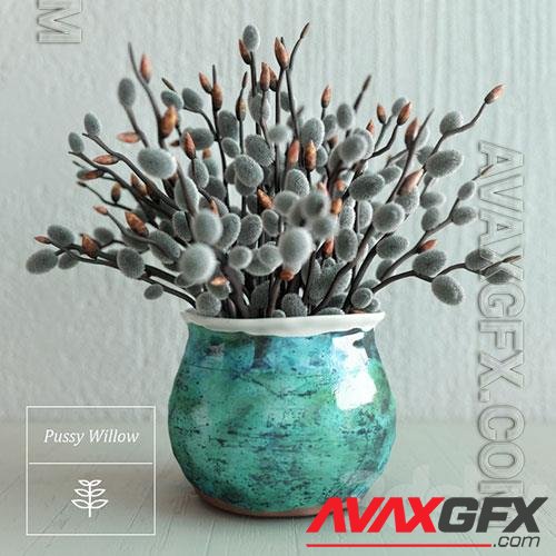 Pussy Willow Bouquet