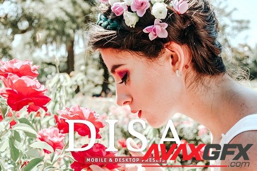 Disa Pro Lightroom Presets - 6977385