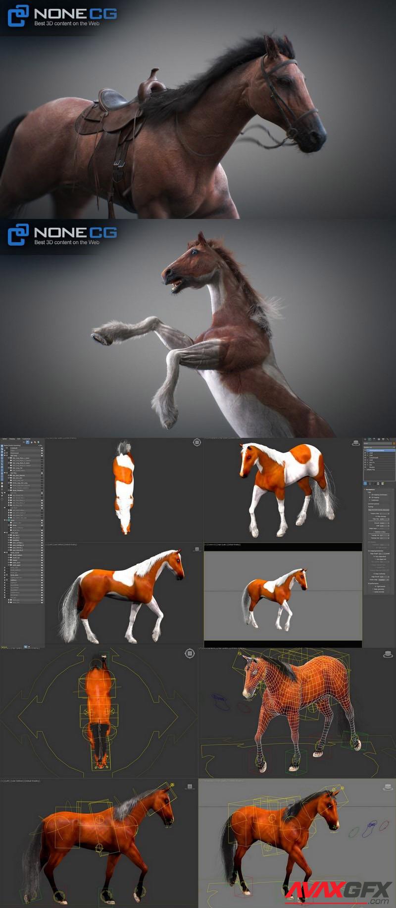 ArtStation Animated 3D Horses