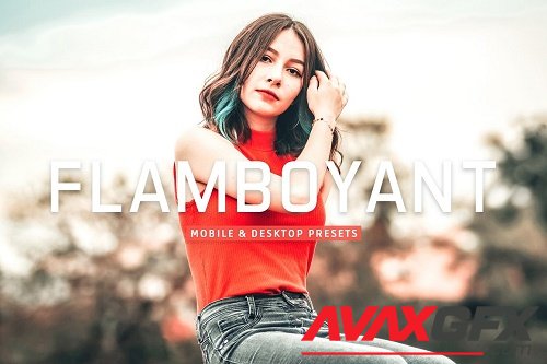 Flamboyant Pro Lightroom Presets - 6977387