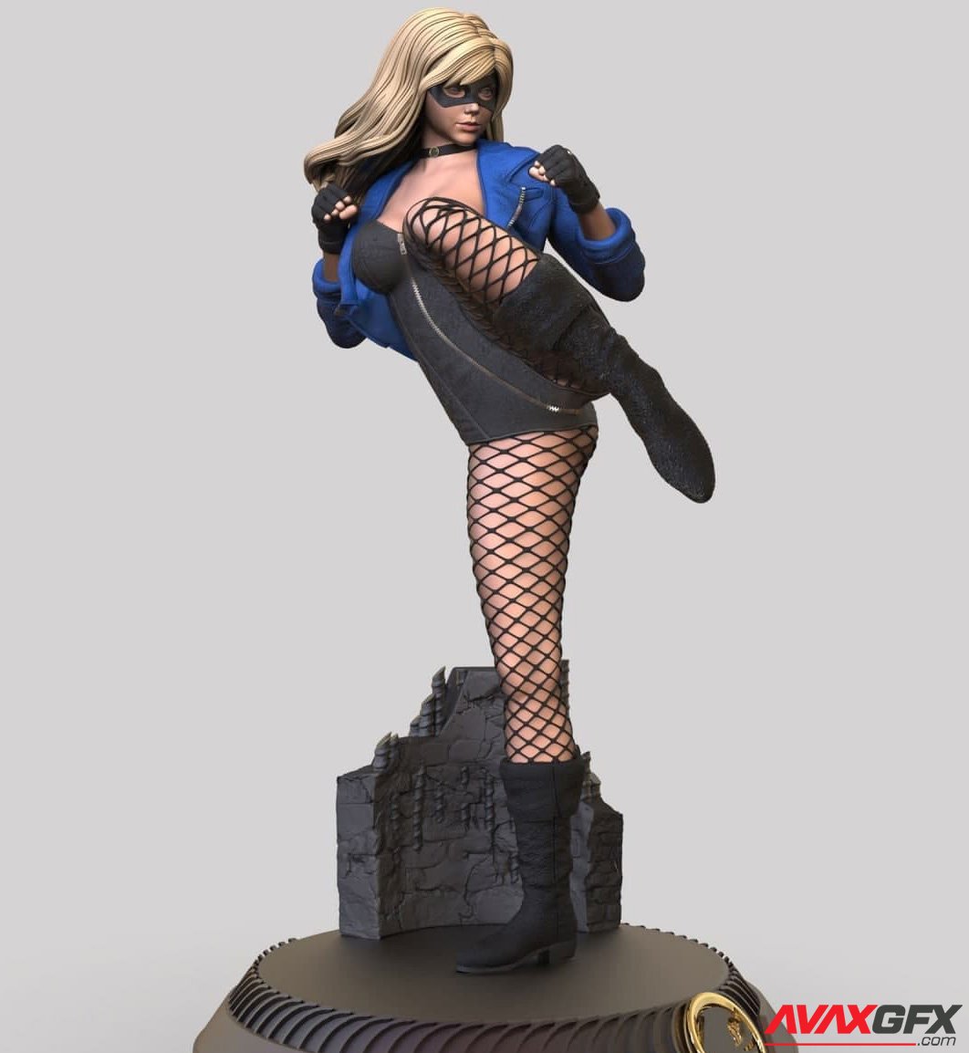 NSFW Black Canary 3D Printable STL