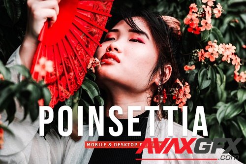 Poinsettia Pro Lightroom Presets - 6977392