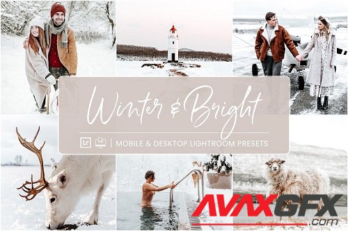 Winter Bright - 6896038