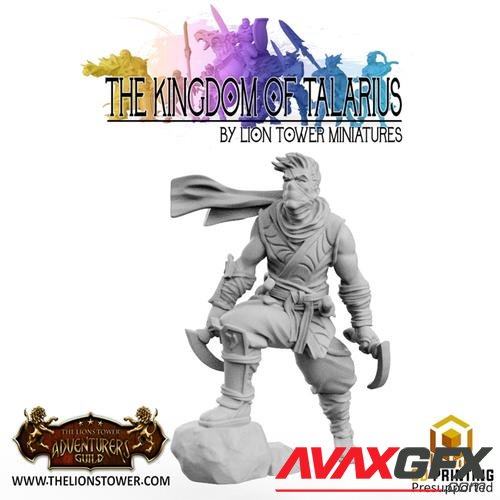 Kingdom of Talarius - Kotaro, Assassin – 3D Printable STL