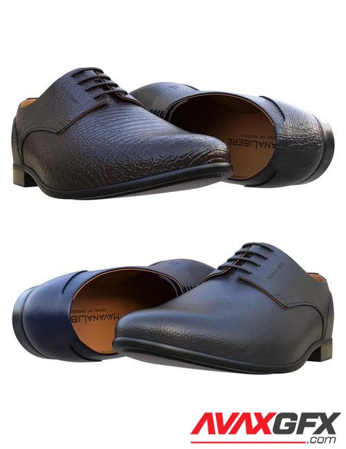 HL Derby Shoe for Genesis 8 and 8.1 Males