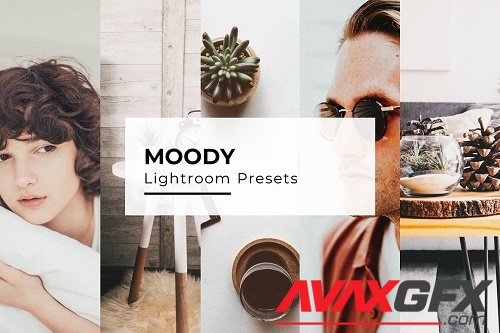 10+ Moody Lightroom Presets - 6902805