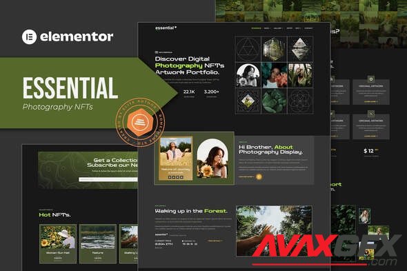 ThemeForest - Essential v1.0.0 - Photography NFT Portfolio Elementor Template Kit - 36342443