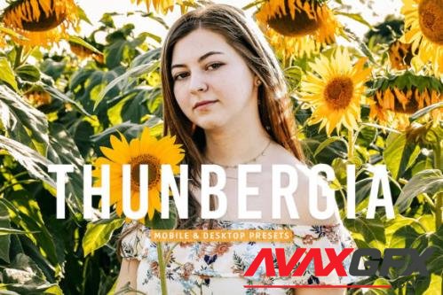 Thunbergia Mobile & Desktop Lightroom Presets - 1852341