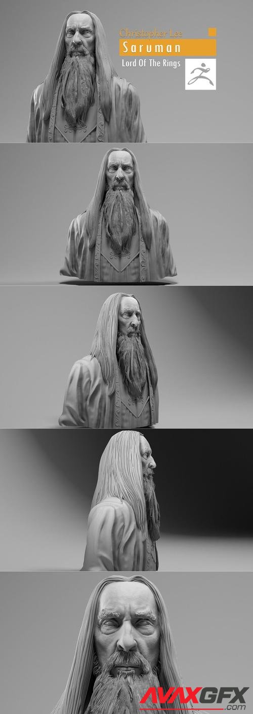 Christopher Lee - Saruman - Lord of the RIngs – 3D Printable STL