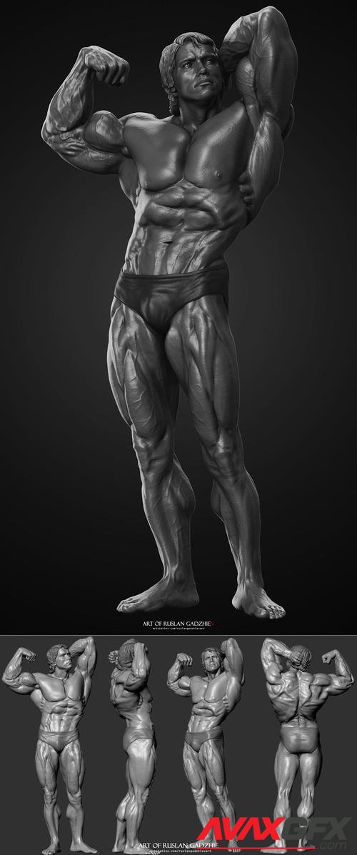 Arnold – 3D Printable STL