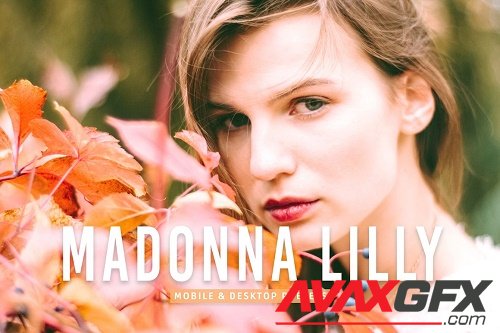 Madonna Lilly Pro Lightroom Presets - 7079835