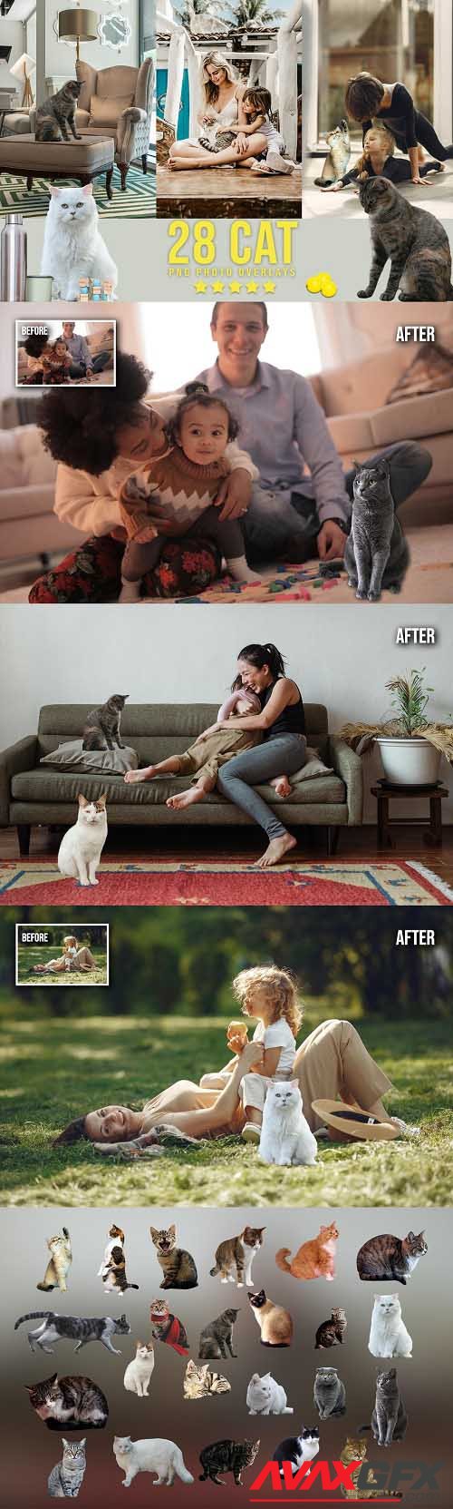 28 Cat Photoshop Overlays - 6737913