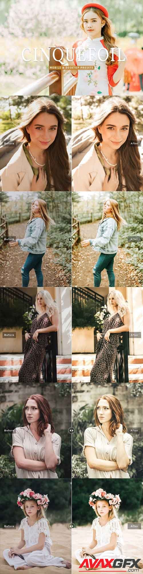 Cinquefoil Pro Lightroom Presets - 7092689