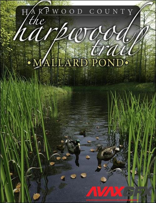 The Harpwood Trail - Mallard Pond