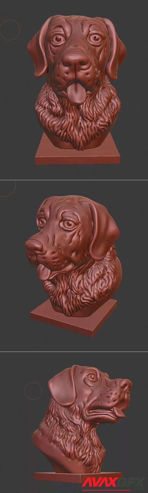 Labrador bust – 3D Printable STL