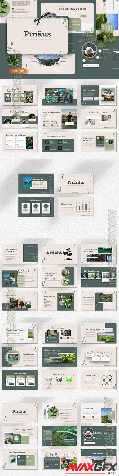 Pinaus - Ecology & Environment Powerpoint, Keynote and Google Slides Template