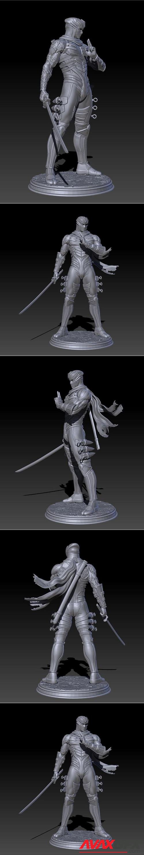 Ryu Hayabusa – 3D Print