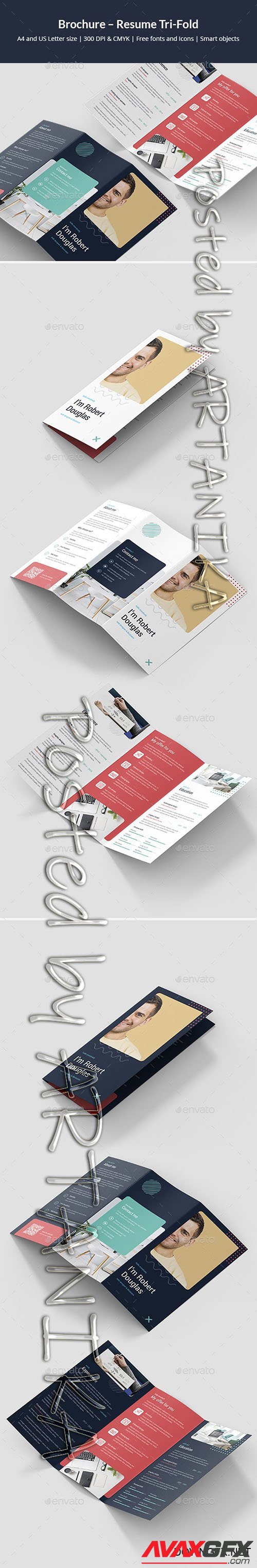 GraphicRiver - Brochure Resume Tri-Fold 24767799