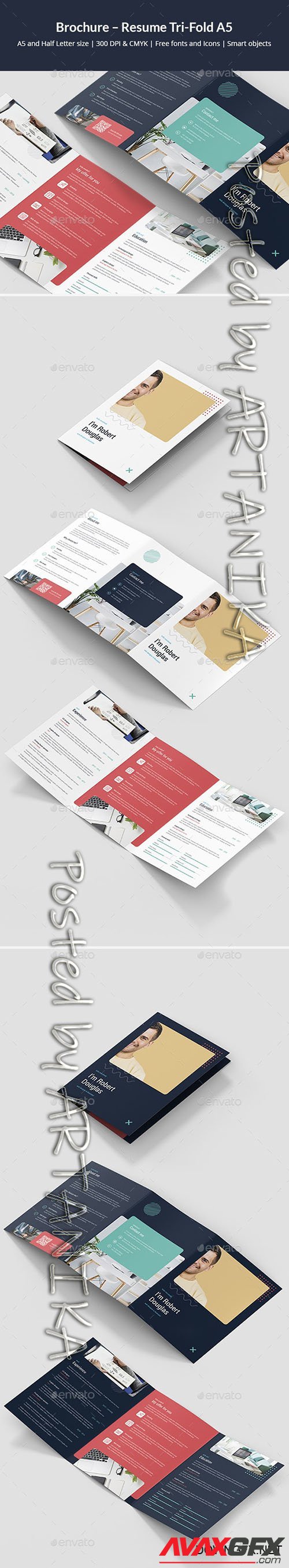 GraphicRiver - Brochure Resume Tri-Fold A5 24772483