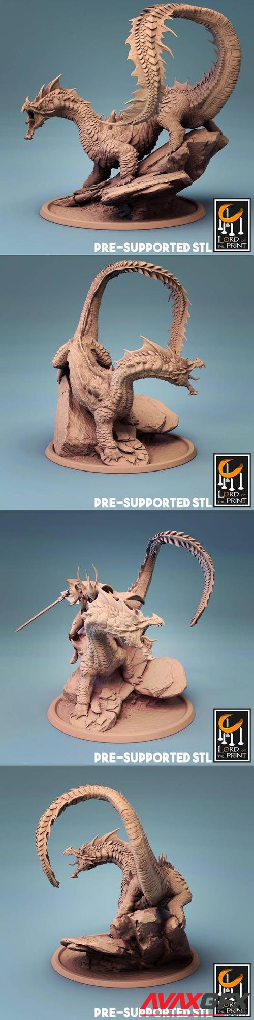 Brine Drake – 3D Print