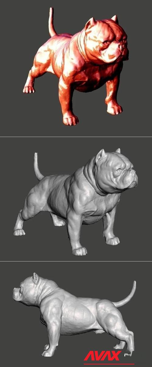 American Bully Dog – 3D Print