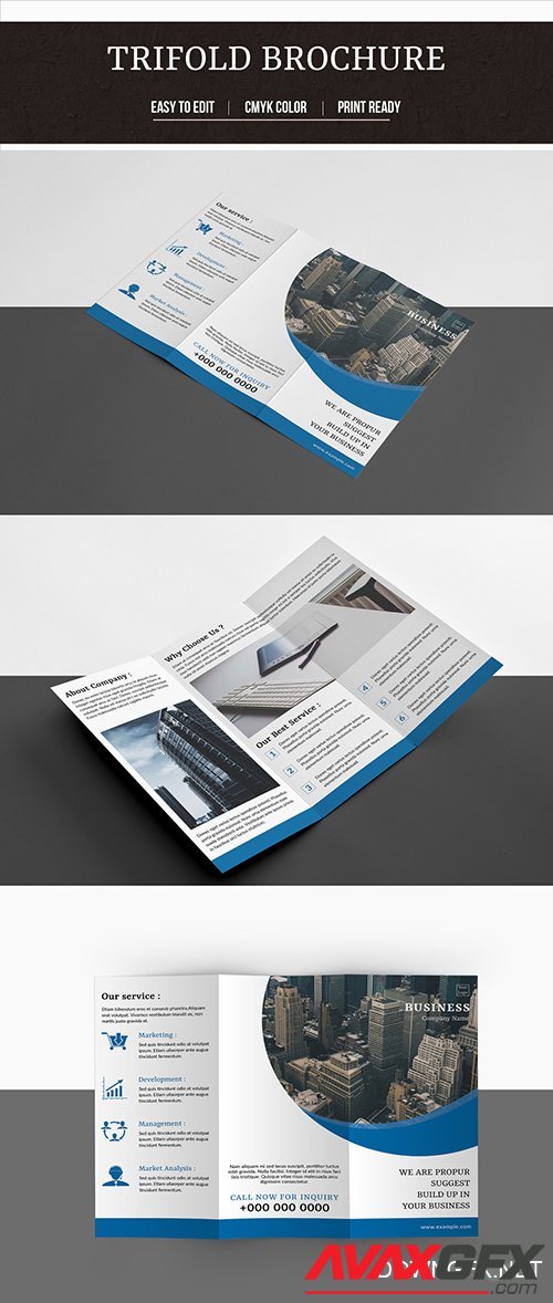 Business Tri-fold Brochure Layout 222341569