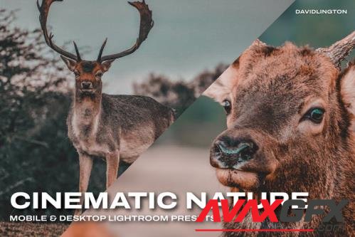 Cinematic Nature Lightroom Presets & LUTs